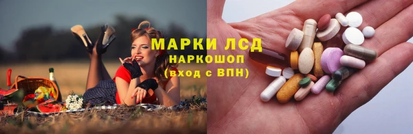 хмурый Алексин