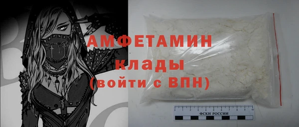 хмурый Алексин
