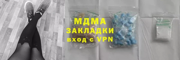 хмурый Алексин