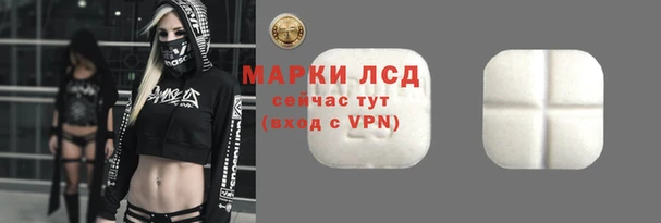 хмурый Алексин