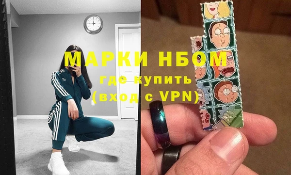 хмурый Алексин