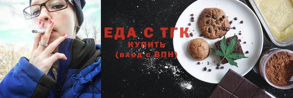 хмурый Алексин